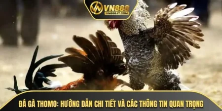 Đá Gà Thomo